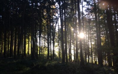 Todesnachricht